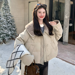 新款 羊羔毛拼接50羽绒服099-10366-p265-k398图片