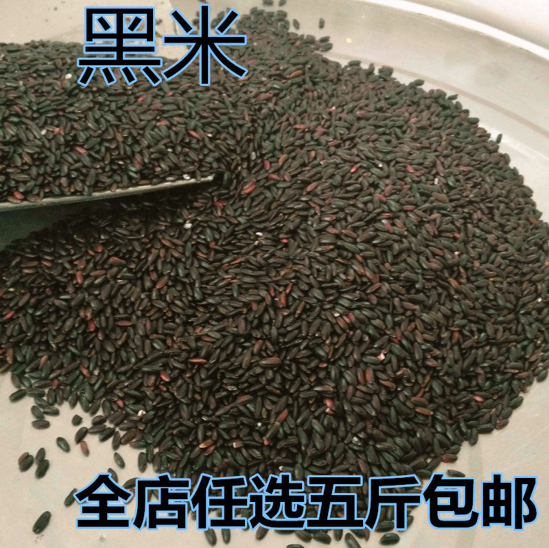 新黑米 黑香米 东北黑米 农家黑米