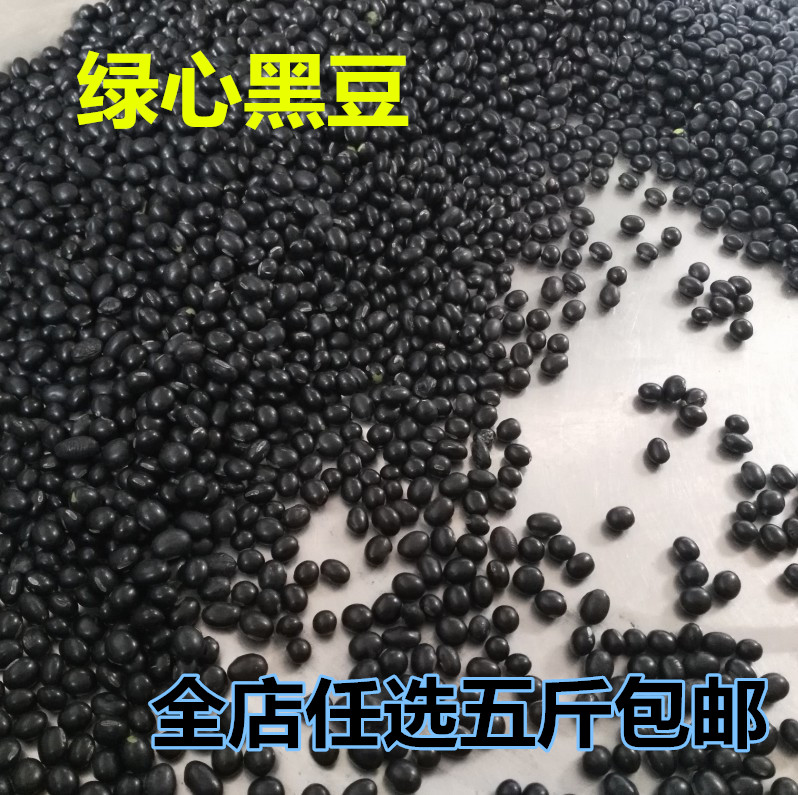 黑豆农家绿心黑豆