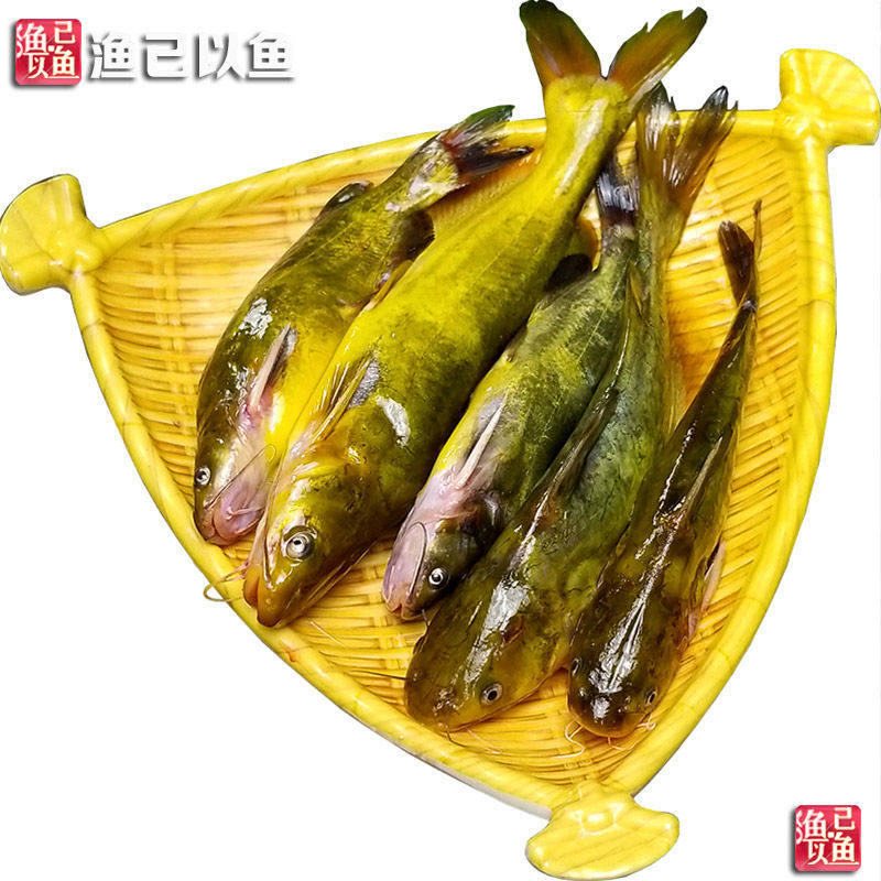 现杀黄丫头安庆枞阳土特产到家
