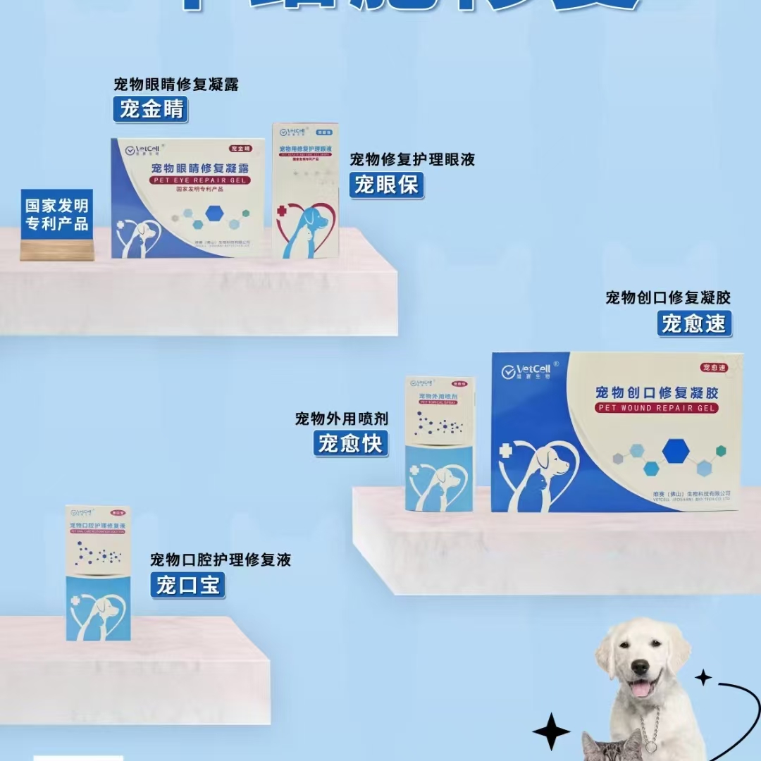 干細胞滴眼液凝露傷口皮膚口腔