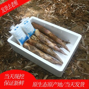 浙江农家新鲜竹笋时令蔬菜春笋夏笋马鞭笋边笋去老根现挖现发3斤