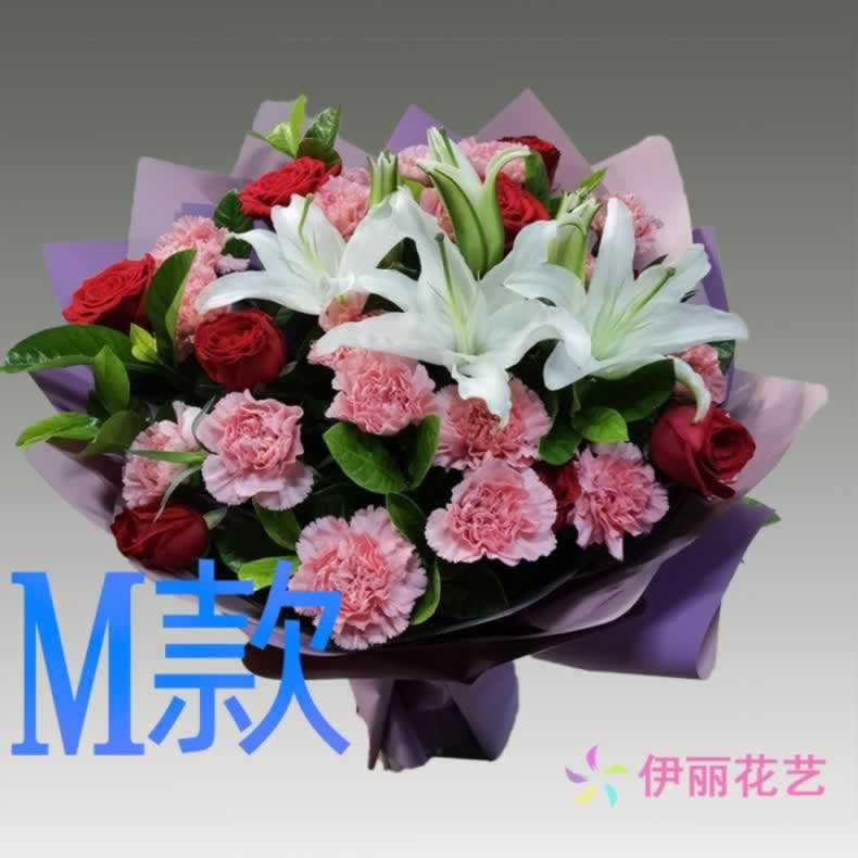 生日纪念康乃馨湖南湘潭花店送花雨湖区岳塘区湘潭县同城鲜花快递