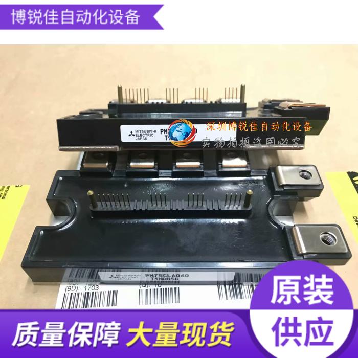 PM150CLA060 PM150CL1A060 PM100CLA060 PM75CLA060 PM50CLA060