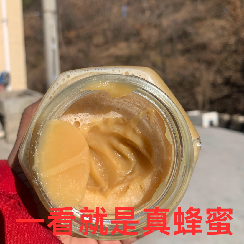 陕西秦岭木桶土蜂蜜深山农家自产自销自然封盖成熟原蜜百花蜜新蜜