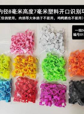 鸽子脚环信鸽足环赛鸽用品
