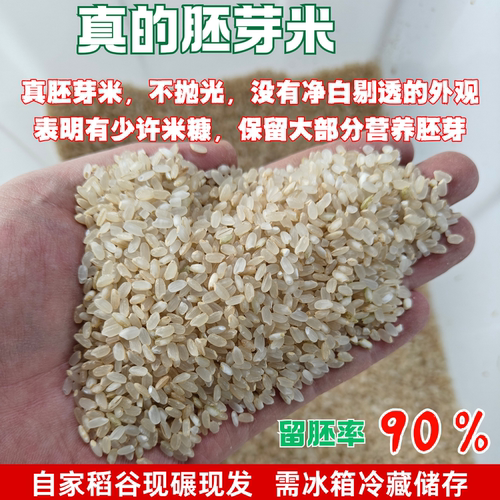 胚芽米新鲜东北大米现磨圆粒香晚粳米熬米油煮粥辅食老品种农家米