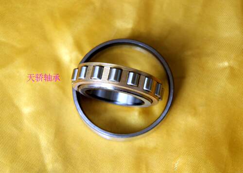 N 210 NF210 轴承 圆柱滚子轴承 50*90*20