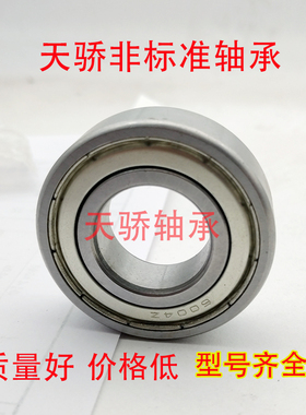 不锈钢轴承S6000Z S6001Z S6002Z S6003Z S6004Z S6005Z S6006ZZ