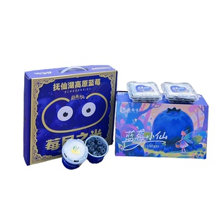 逐南味独立包装 蓝莓L25脆甜花香蓝莓小仙礼盒孕妇宝宝水果护眼
