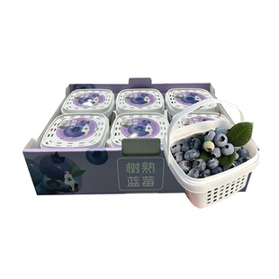 云南新鲜花香蓝莓L25脆甜多汁现摘当季 水果孕妇宝宝水果礼盒空运
