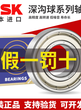 日本NSK进口轴承6000 6001 6002 6003 6004 6005 6006 6007ZZ DDU