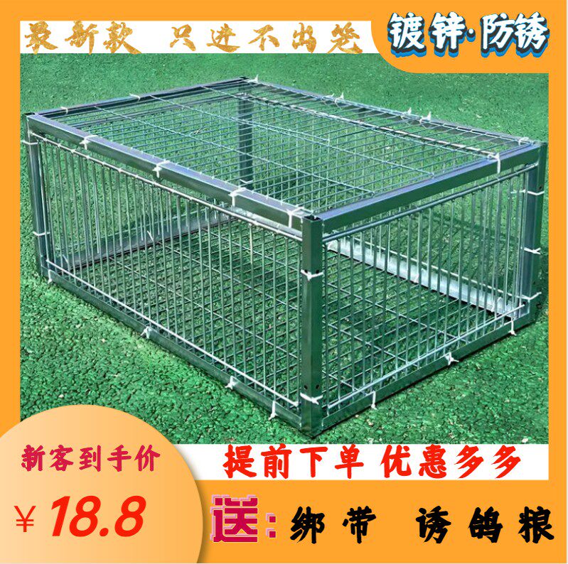 新款只进不出镀锌加密信鸽天落笼野外自动撞门笼连续鸽笼收鸽神器高性价比高么？