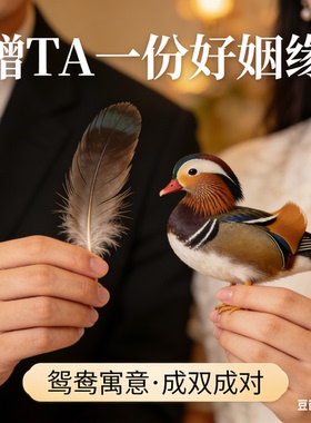 鸳鸯尾巴羽毛尾羽飞羽真羽毛饰品法师道具姻缘祈福新婚礼品