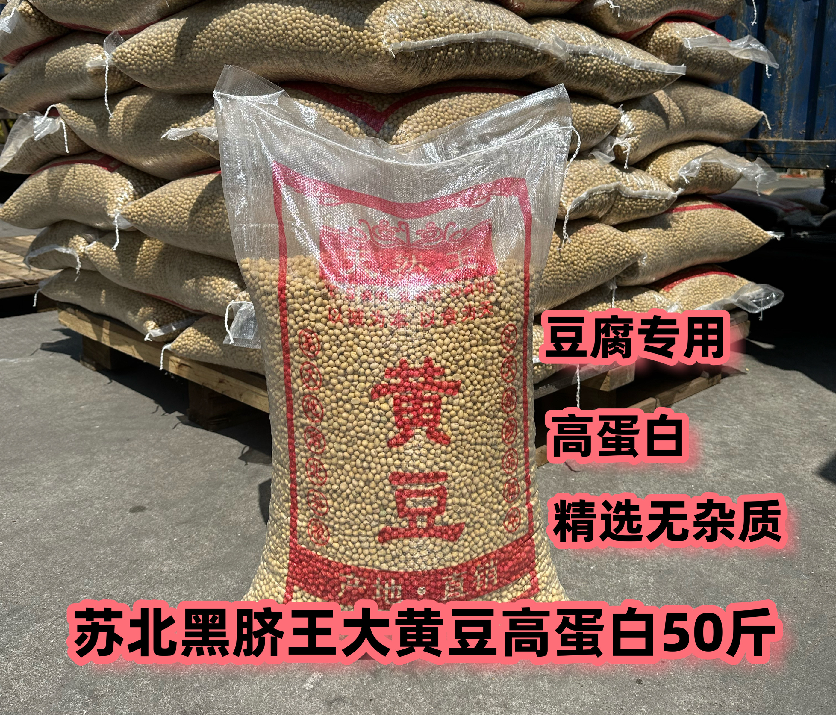 苏北黑嘴大黄豆豆腐食品豆浆豆腐脑专用豆50斤江浙沪皖包邮