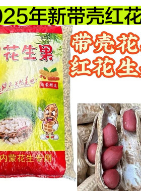 25年新鲜生带壳红花生食品水煮炒货专用带壳花生50斤包邮