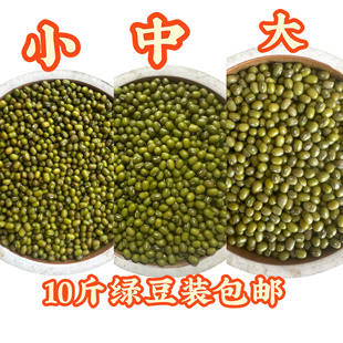 10斤装 大中小颗粒绿豆东北农家绿豆新货颗粒饱满解暑绿豆汤绿豆糕