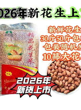 大颗粒10个筛大头花生米河南花生米脱壳油炸专用米30斤/50斤包邮