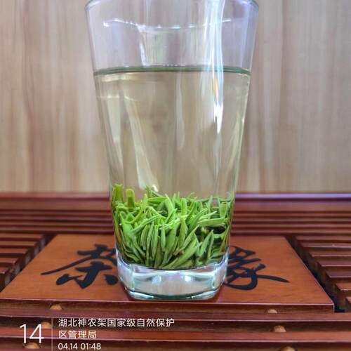 2026新茶 农家直销神农架芽毛尖 高山云雾雨前芽茶神农架茶叶送礼