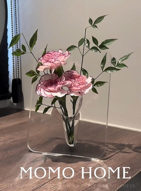 ins相框花瓶摆件客厅插花轻奢高级感装饰摆设水培插花器透明水养