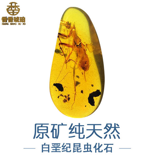 天然真琥珀蜜蜡原石虫珀化石吊坠