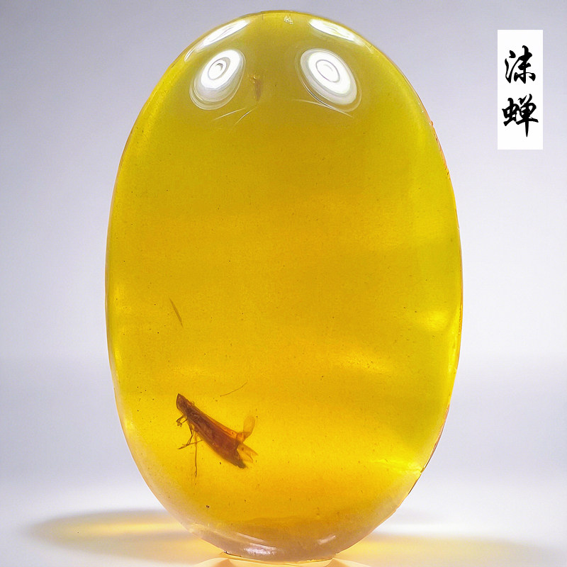 原矿纯天然缅甸琥珀原石虫珀沫蝉白垩纪昆虫收藏级化石标本吊坠