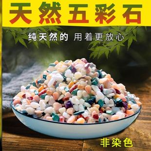 花盆里放的石头发财树石子养花专用小石子颗粒鱼缸小石子铺底造景