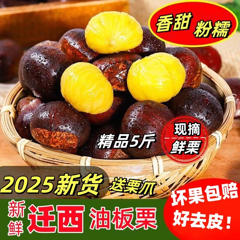 2025年正宗迁西板栗生鲜板栗河北特产新鲜栗子3113生栗野生毛栗