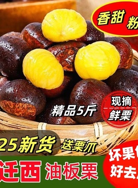 2025年正宗迁西板栗生鲜板栗河北特产新鲜栗子3113生栗野生毛栗
