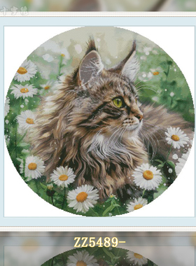 【ZZ5489-小菊猫】十字绣2025新款可爱猫咪卧室简单自己手工线绣