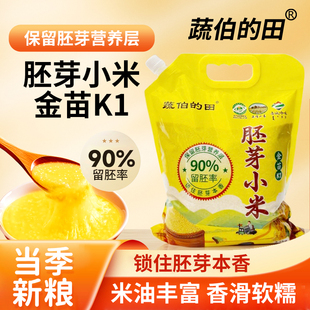 新米内蒙古赤峰金苗k1胚芽黄小米 新米5斤黄小米煮粥煮饭营养健康