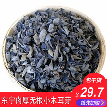特惠款【小木耳芽250g】新木耳芽筛选小木耳芽小指大小嫩木耳芽