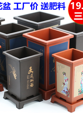 兰花盆君子兰专用盆仿紫砂塑料树脂兰花专用盆花盆家用盆景花盆