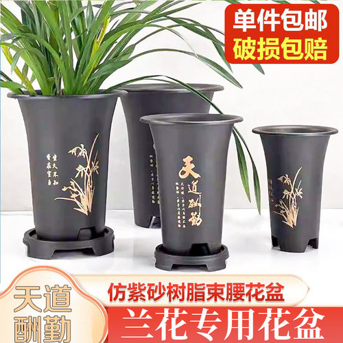 兰花专用盆透气耐用室内种植透气