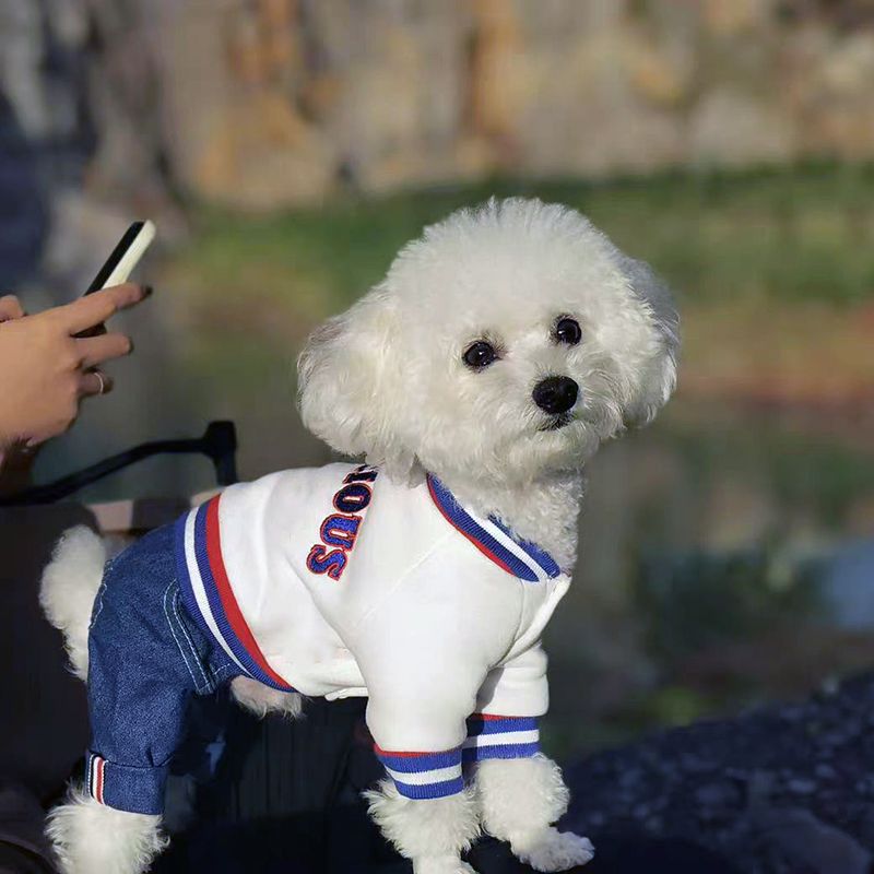 狗狗冬天衣服四脚秋冬款中型犬