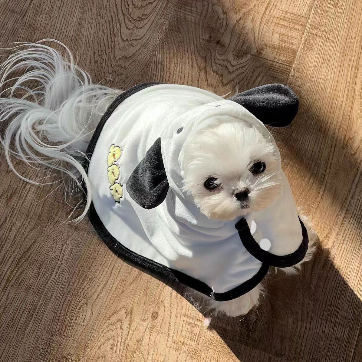 宠物猫咪披风毛毯保暖连帽斗篷子