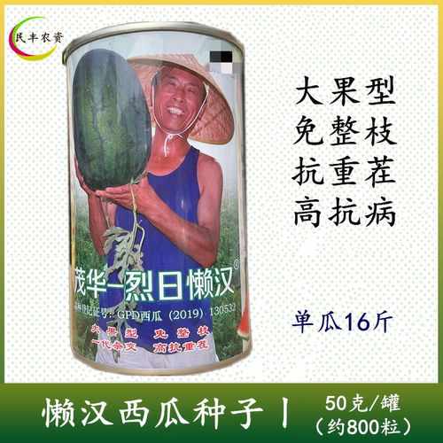 西瓜种子茂华烈日懒汉西瓜种籽 大果抗重茬 高抗病 耐贮运免整枝