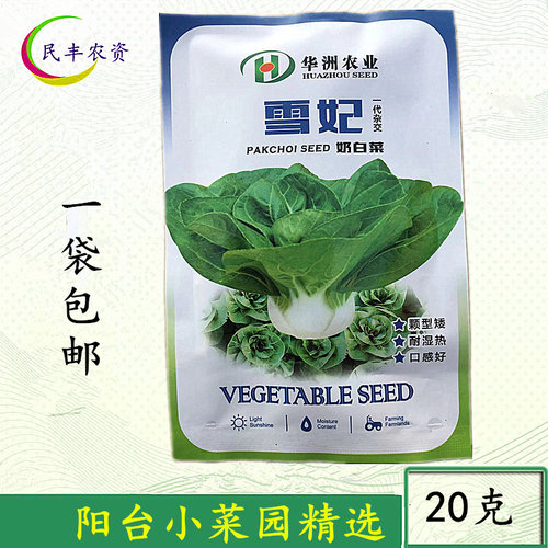 白菜栽培价格 白菜栽培图片 星期三