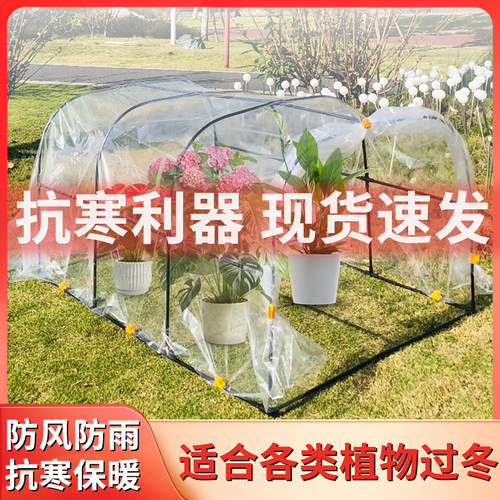 花棚暖房家用阳台多肉植物