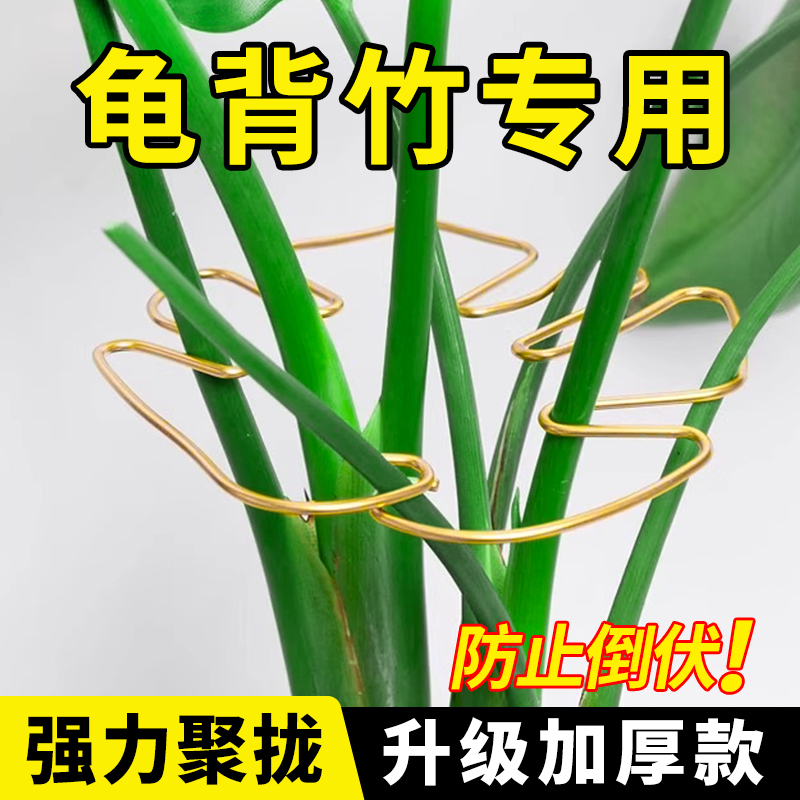 龟背竹支撑杆植物花的固定支撑架防倒伏支架绿植固定神器卡扣花卉