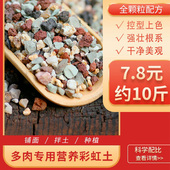 彩虹石颗粒土多肉专用土麦饭石绿沸石多肉专用铺面石纯颗粒土