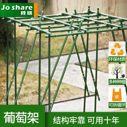 枝晓葡萄架子葫芦爬藤架