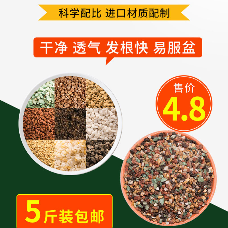 多肉营养土纯颗粒土铺面石彩虹石透气专用进口泥炭叶插小苗种植土