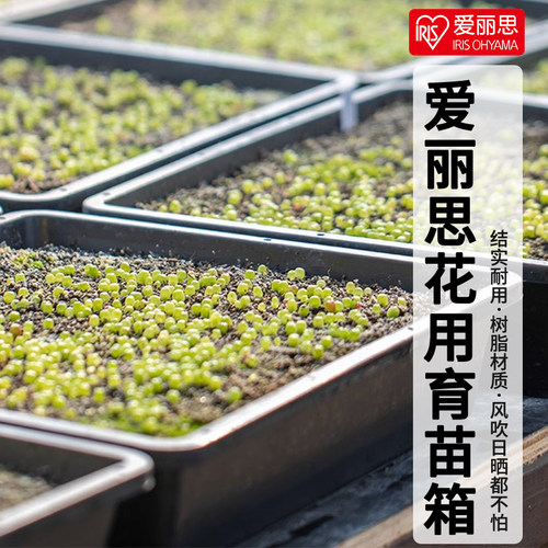 爱丽思育苗盘花盆耐用
