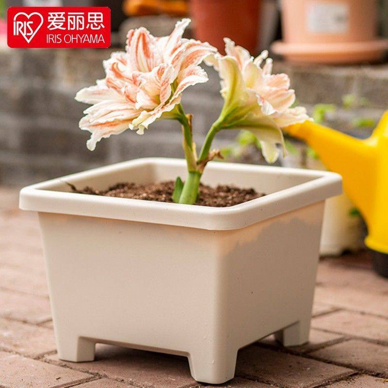 爱丽思花盆种球圆形植物塑料图片