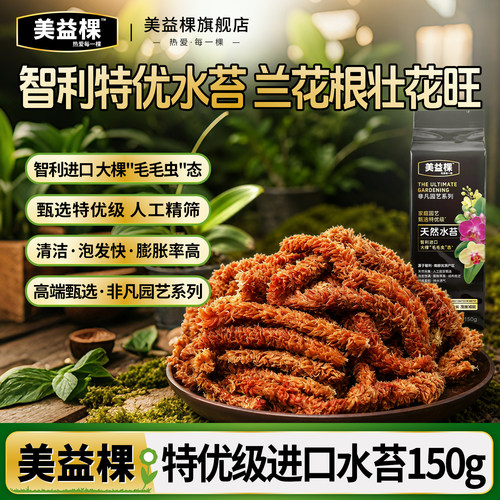 美益棵智利毛毛虫水苔蝴蝶兰专用