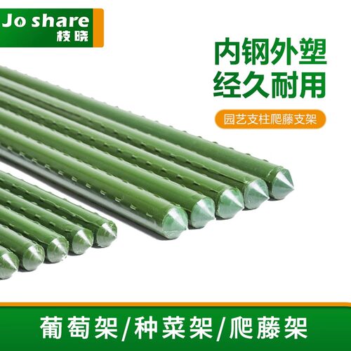 爬藤架花架爬藤支架支撑杆