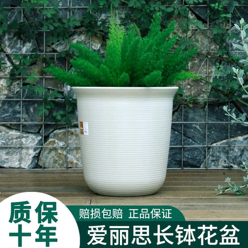 爱丽丝树脂长钵兰花陶瓷