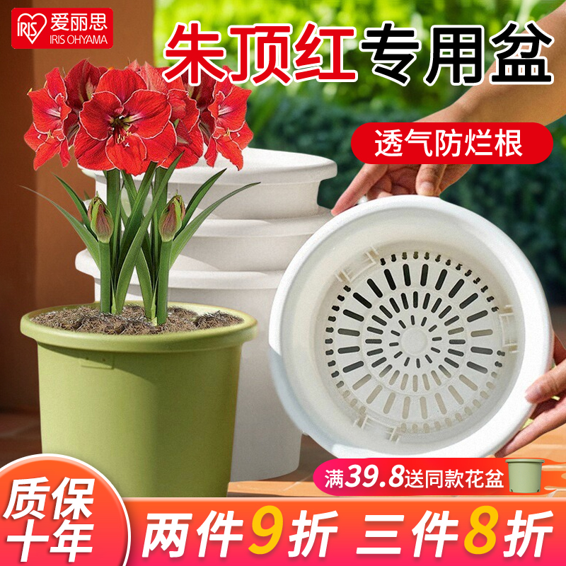 爱丽思Deepot盆栽家用青山树脂加仑盆月季朱顶红爱丽丝塑料花盆