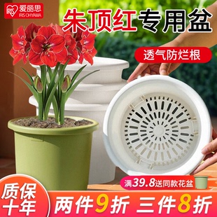 爱丽思Deepot盆栽家用青山树脂加仑盆月季朱顶红爱丽丝塑料花盆